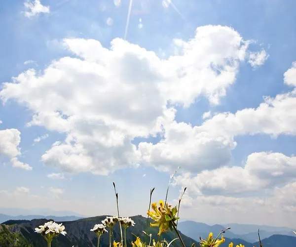 Post Karlon فندق