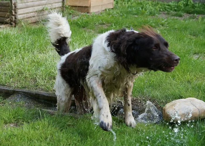 Post Karlon Hotel 4*