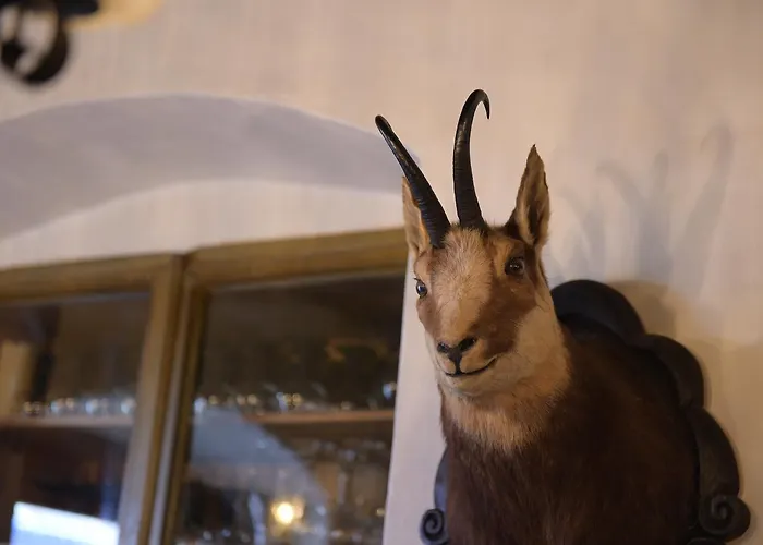 Post Karlon 호텔 4*