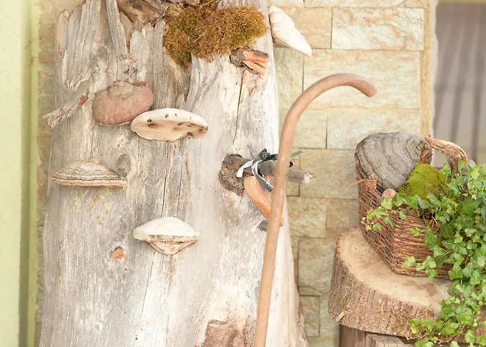 Post Karlon 4* Aflenz Kurort